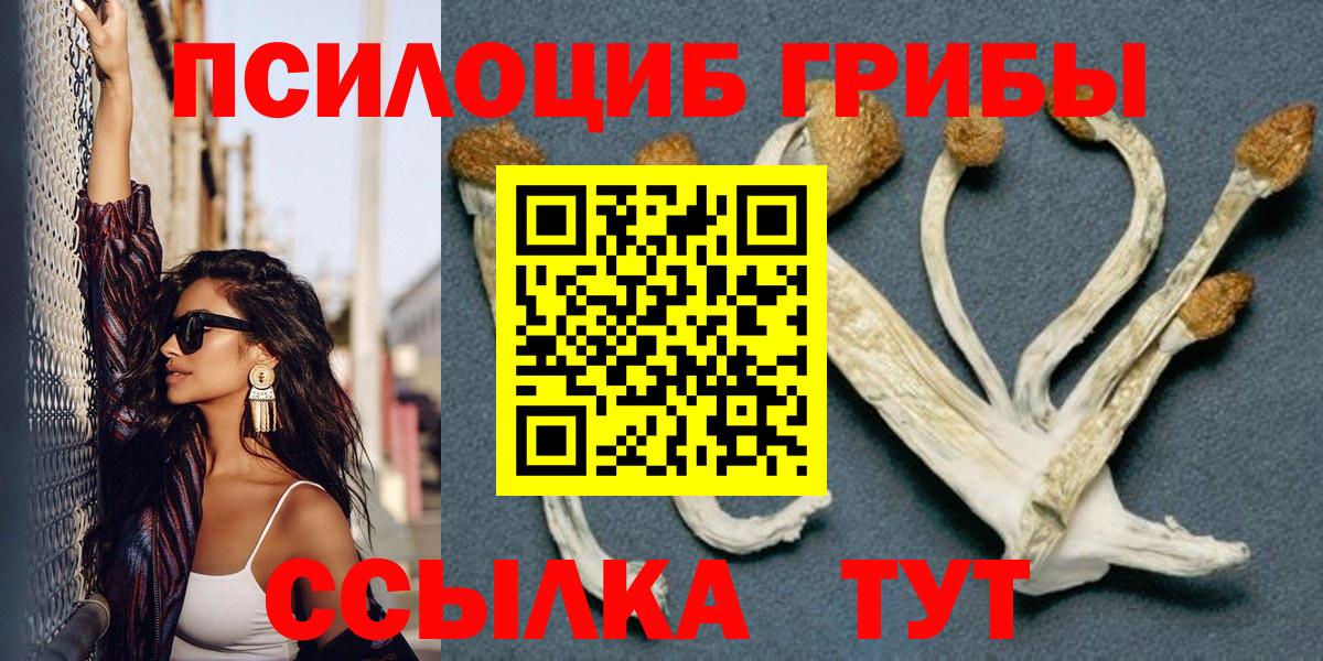 Псилоцибиновые грибы GOLDEN TEACHER Новокубанск