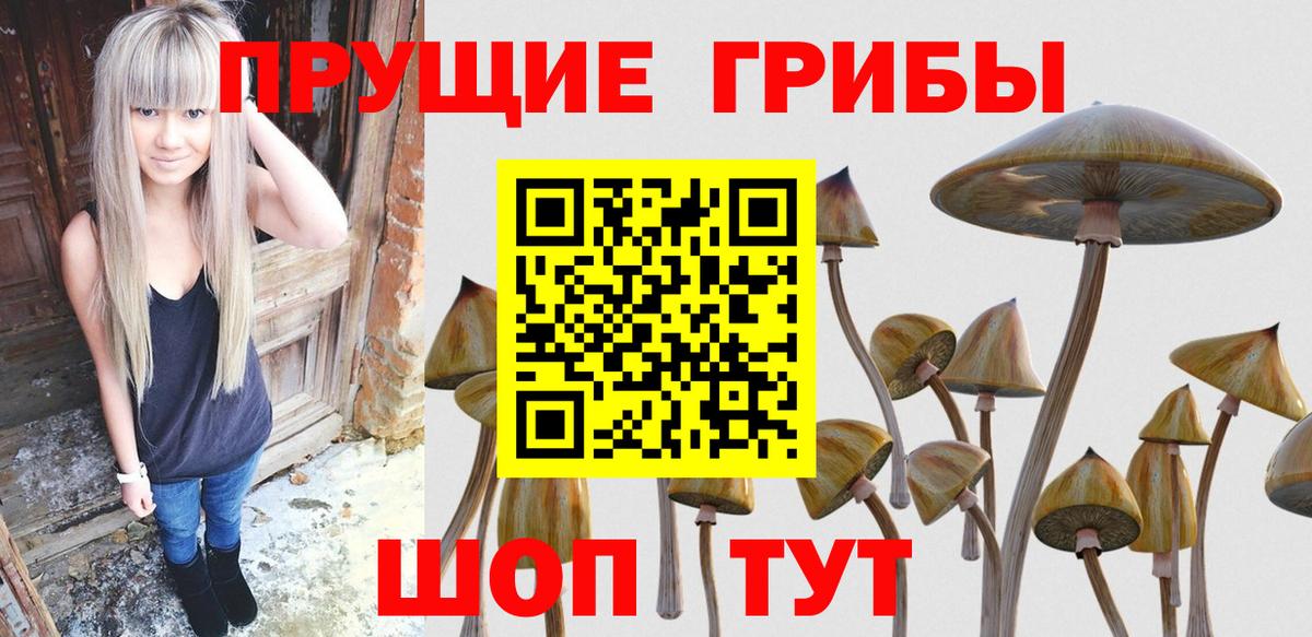 Кокаин  ГАШИШ  Новокубанск  Мефедрон  МЕФ   Конопля  Вход с VPN 