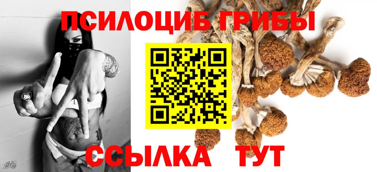 Новокубанск  цены наркотик  Вход с VPN  Галлюциногенные грибы MAGIC MUSHROOMS 