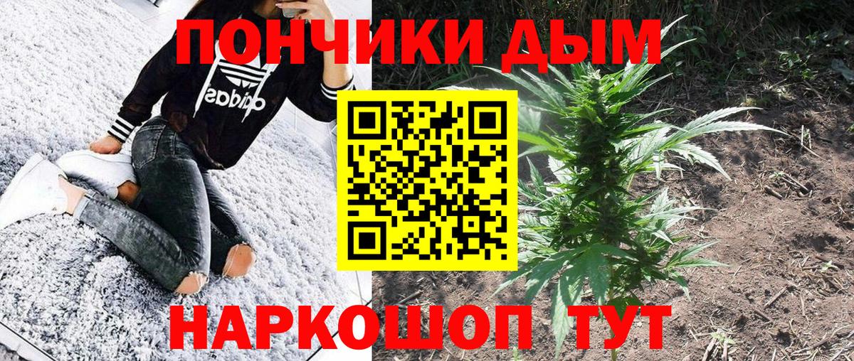 Конопля семена Новокубанск